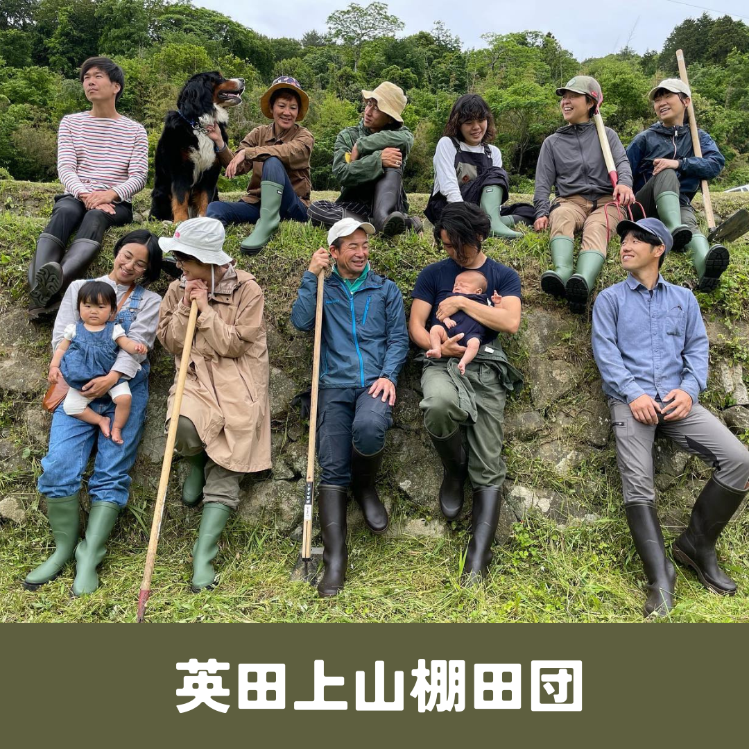 【大切な方への贈り物に】もちもち米粉ドーナツ(冷凍)